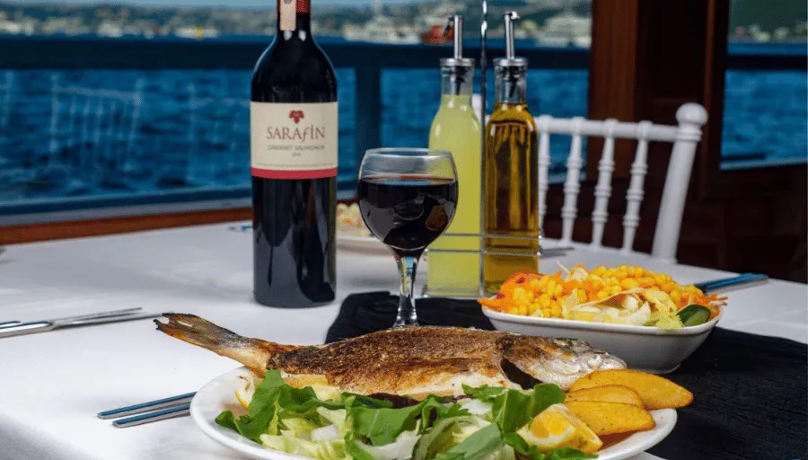 Istanbul Bosphorus Turkish Night photo 10